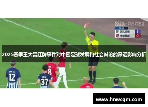 2025赛季王大雷红牌事件对中国足球发展和社会舆论的深远影响分析