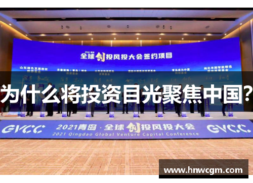 为什么将投资目光聚焦中国？